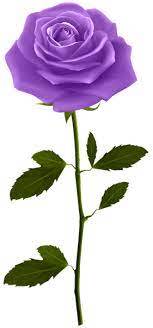 Purple Rose With Stem Png Clip Art Image Pink Rose Tattoos Blue Rose Tattoos Beautiful Rose Flowers