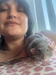 My sweet Arthur has crossed the rainbow bridge