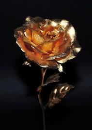 Gold aesthetic black and gold rose gold gold geometric. L
