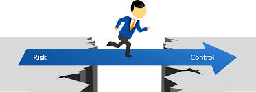 Image result for Risk Management