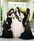 Bride Bridal Party Decorations