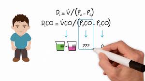 Image result for Diffusing Capacity