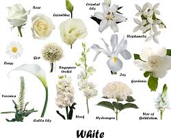 White Product Categories Ballarat Wedding Flowers