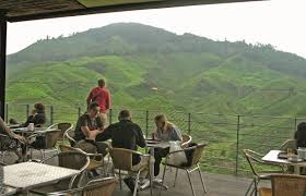 We did not find results for: A Road Trip Up North Cameron Highlands Ipoh Kuala Kangsar Penang Expatgo