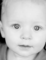 Community Report 2010