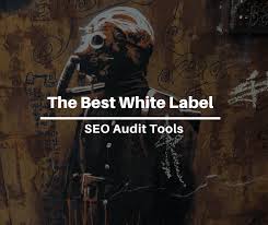 For example, for posts on our site, this looks like this: The Best White Label Seo Audit Tools For Your Seo Audit Service