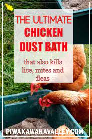 Ultimate Chicken Dust Bath Recipe 3 Powerful Additions Your Chickens Will Love Chickens Backyard Chicken Diy Dust Bath For Chickens