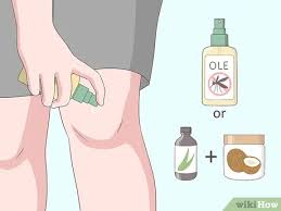 The oil may also prevent dandruff and improve blood flow. How To Use Eucalyptus Oil 8 Steps With Pictures Wikihow