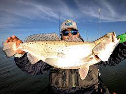Top Tactics For Giant Speckled Trout In Winter