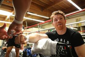 Born 18 july 1990) is a mexican professional boxer.he has won multiple world championships in four weight classes from light middleweight to light heavyweight, including unified titles in three of those weight classes. Photos Canelo Alvarez Training For Golovkin Rematch The Ring