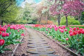 Landscapers bay area is the leading landscaping service company in the bay area, california. 10 Tips For Great Garden Landscape Design Bay Area Landscapes