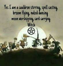 Pin By Renee Spaeth Costlow On Witchcraft Witch Quotes Male Witch Witch Meme