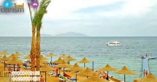 отель Regency Plaza Aqua Park Spa шарм эль шейх فنادق شرم الشيخ فندق فيرجينيا شرم الشيخ Verginia Sharm Resort Sharm El Sheikh Sharm El Sheikh Resort