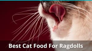 Check spelling or type a new query. Reviews Of The Best Wet And Dry Food For Ragdoll Cats And Kittens