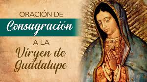 El 12 de diciembre se celebra el día de la morenita de méxico.la virgen de guadalupe, es una de las apariciones marianas más conocida del mundo, con un gran número de personas, que llegan año tras año a visitar a la reina de los milagros, pidiéndole por salud, amor y protección. Oracion De Consagracion A La Virgen De Guadalupe Youtube