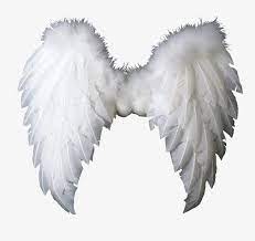 Angel Wings Png And Clipart Wings Png Angel Wings Png White Wings