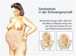 Senkwehen Geht Jetzt Die Geburt Los Babyartikel De Magazin