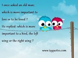 Love Bird Quotes Love Bird Quote Love Bird Quotations Love Birds Quotes Bird Quotes Peace And Love Quotes