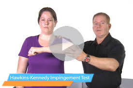 Image result for Hawkins Test