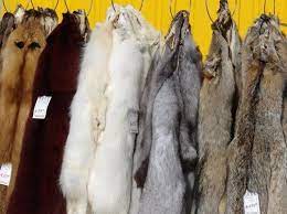 Posted at 12:25 28 jun12:25 28 jun. Animal Skin Posts Facebook