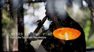 Soldiers Of The Vine Healing Ptsd With Ayahuasca Psychedelic Times