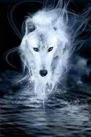 Alfa img showing galaxy anime wolf galaxy wolf wolf spirit. White Wolf Wolf Poster Wolf Background Wolf Spirit Animal