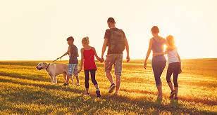 Maybe you would like to learn more about one of these? In Home Pet Euthanasia Caring Pathways Denver Surrounding Metro