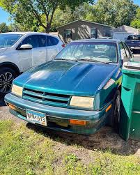 Image result for Wildberry 1994 Shadow