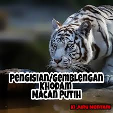 Dengan demikian energi khodam mustika ini akan selalu tersalur ke dalam tubuh anda setiap saat. Pengisian Khodam Pendamping Mcn Putih Lazada Indonesia