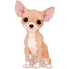 Clipart Chihuahua Dog Royalty Free Vector Design Dessin Chien Dessin Perroquet Chien Mignon