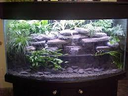 Axolotl Aquarium Google Suche Axolotl Tank Planted Aquarium Aquarium