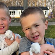 Fundraiser by James Putnam : Help Liam Rebuild After Animal Tragedy