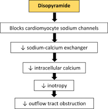 Image result for Disopyramide