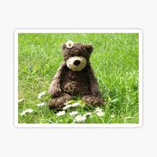 We did not find results for: Teddy Bear Flowers Gifts Merchandise Redbubble