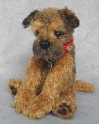 Pin On Border Terrier