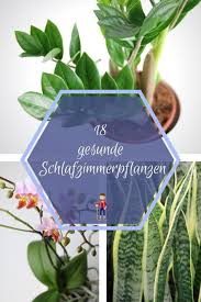 Pflanzen Im Schlafzimmer Sehen Nicht Nur Schon Aus Sie Reinigen Auch Die Luft Und Ermoglichen Uns Ei In 2020 Schlafzimmer Pflanzen Pflanzen Zimmer Blumen Schlafzimmer