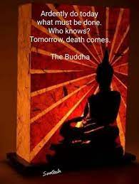 Buddha often reminded those around him that tomorrow is not promised, so you the buddha taught that wise people understand death and realize that it happens when it is 36. Pin By Madan Luniya On Osho Never Born Never Die Buddha Quotes Buddha Osho