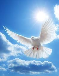 Ven A Mi Soy Jesus Tu Salvador Aves Volando Espiritu Santo Paloma De La Paz