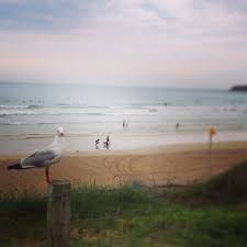 Ocean Grove Beach Ocean Grove Beach Ocean Grove Coastal Country