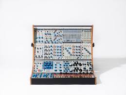 Image result for Buchnera subglabra