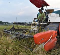 Bagaimana kita menemukan langkah tuhan? Sektor Pertanian Di Indonesia Dan Potensi Nya