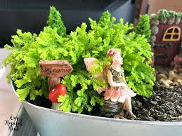 To keep costs down, here are my suggestions: Our Hopeful Home How To Make A Fairy Garden On A Budget