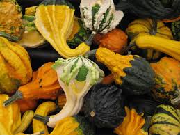 But i had some decorative gourds laying around. Pin On Projects To Try
