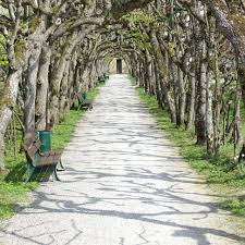 Dachau Deutschland Laubengang Im Schlossgarten Laubengang Schloss Garten