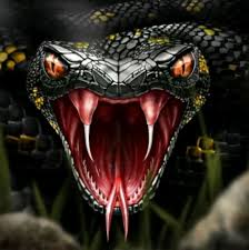 3rd week riddles like and subscribe for more videos in this video i m showing you. Free Predator Avatar Collection In 8 Ball Pool Kzr