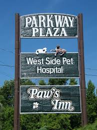 Can a microchip be scanned at village pet hospital? Village East Animal Hospital Home Facebook