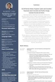 Cv Template Xing Resume Examples Resume Examples Sample Resume Business Analyst Resume