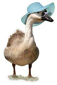 Summer Goose Mixed Media By Gravityx Designs Summer Goose Fine Art Prints And Posters For Sale Cute Goose Summer Hats Hat Illustration
