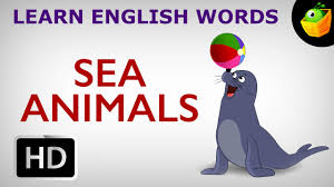Sea Animals Pre School Learn English Words Spelling Video For Kids And Toddlers Youtube