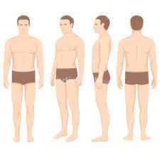 Front and back views of a human figure photograph by everett. Indivstock